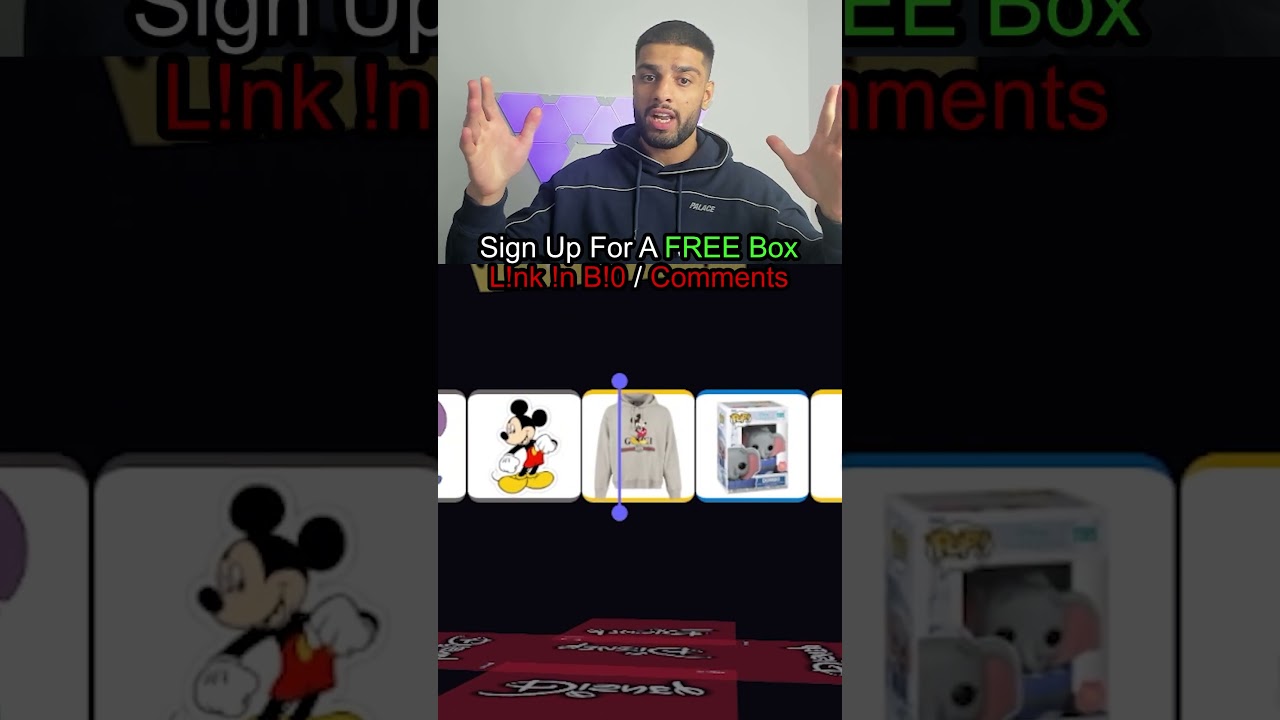 MYSTERY BOX BATTLE: Disney Vs Supreme Budget😅