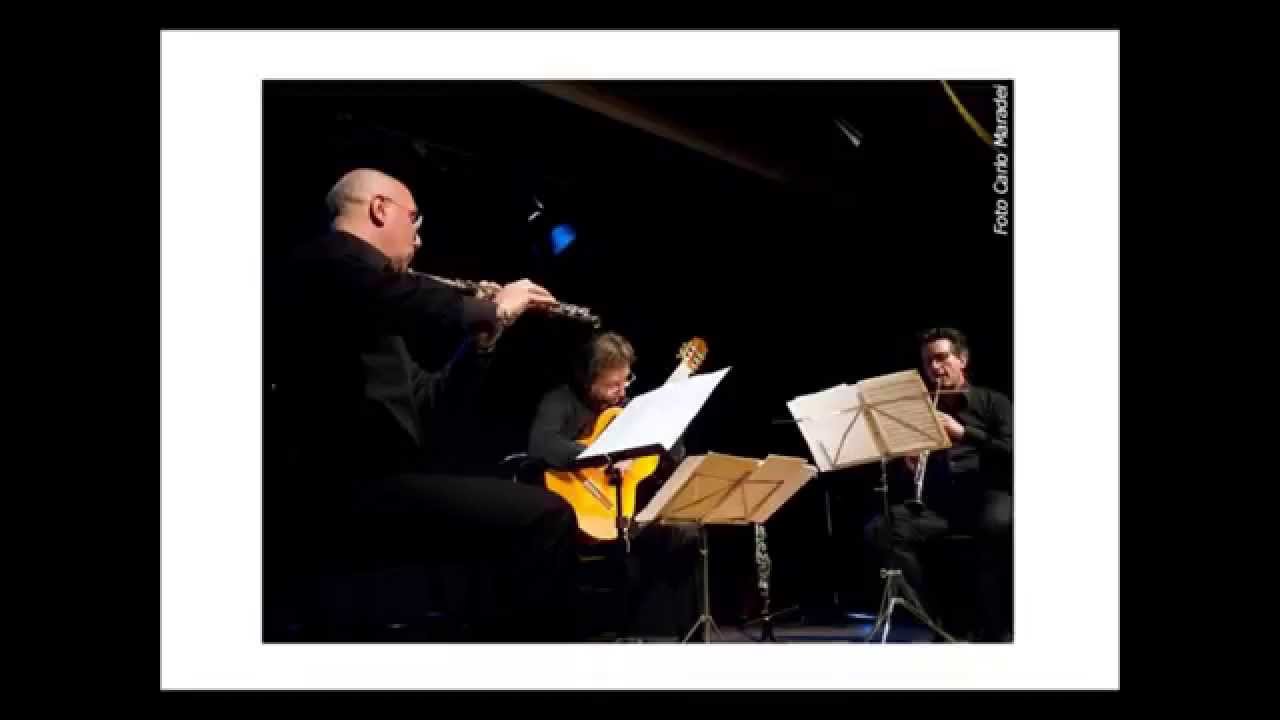 Trio Mauro Giuliani - F. Molino Trio in Re magg. op 45 Allegro