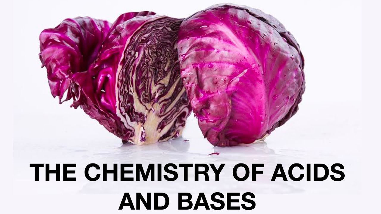 The Chemistry of Acids and Bases