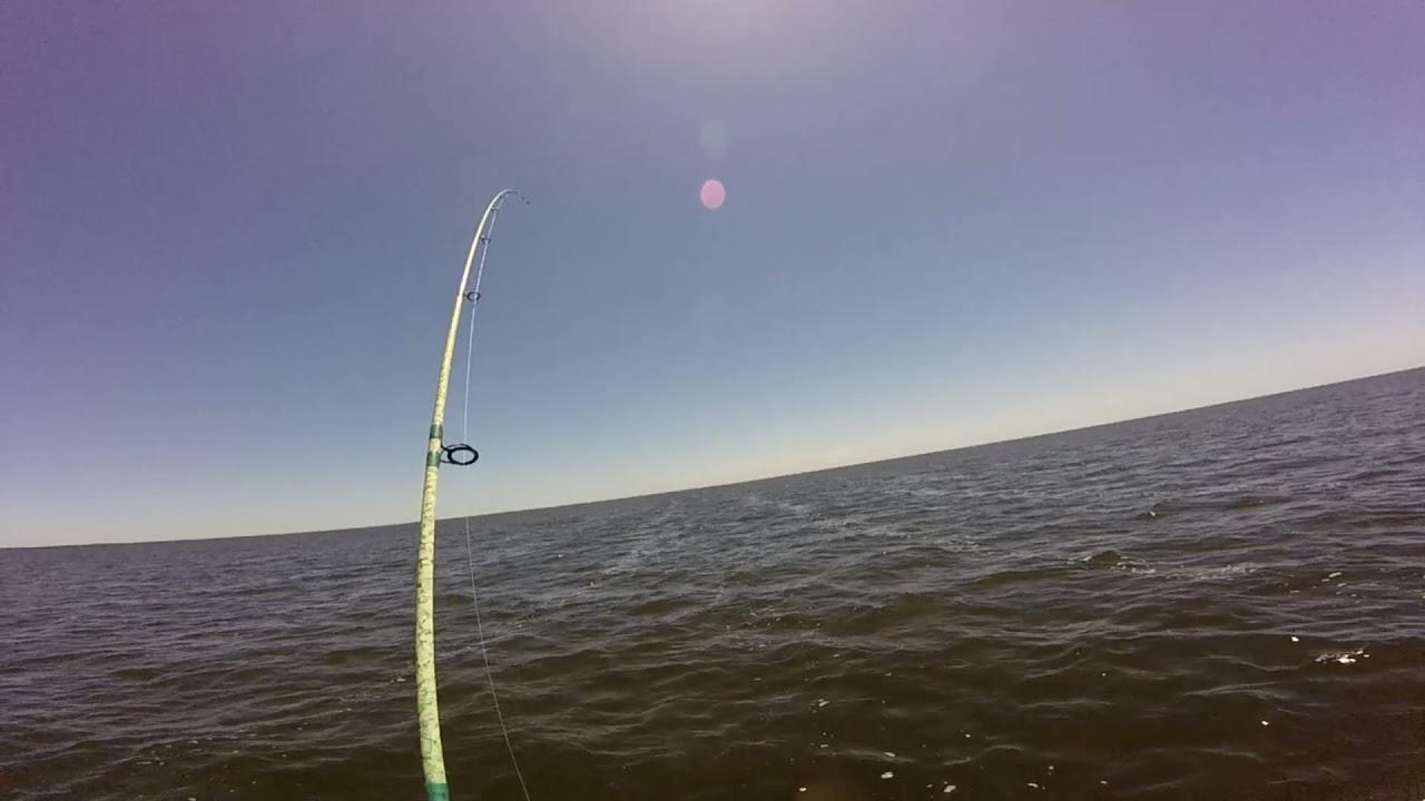 solo trip to horseshoe beach looking for some windy trout