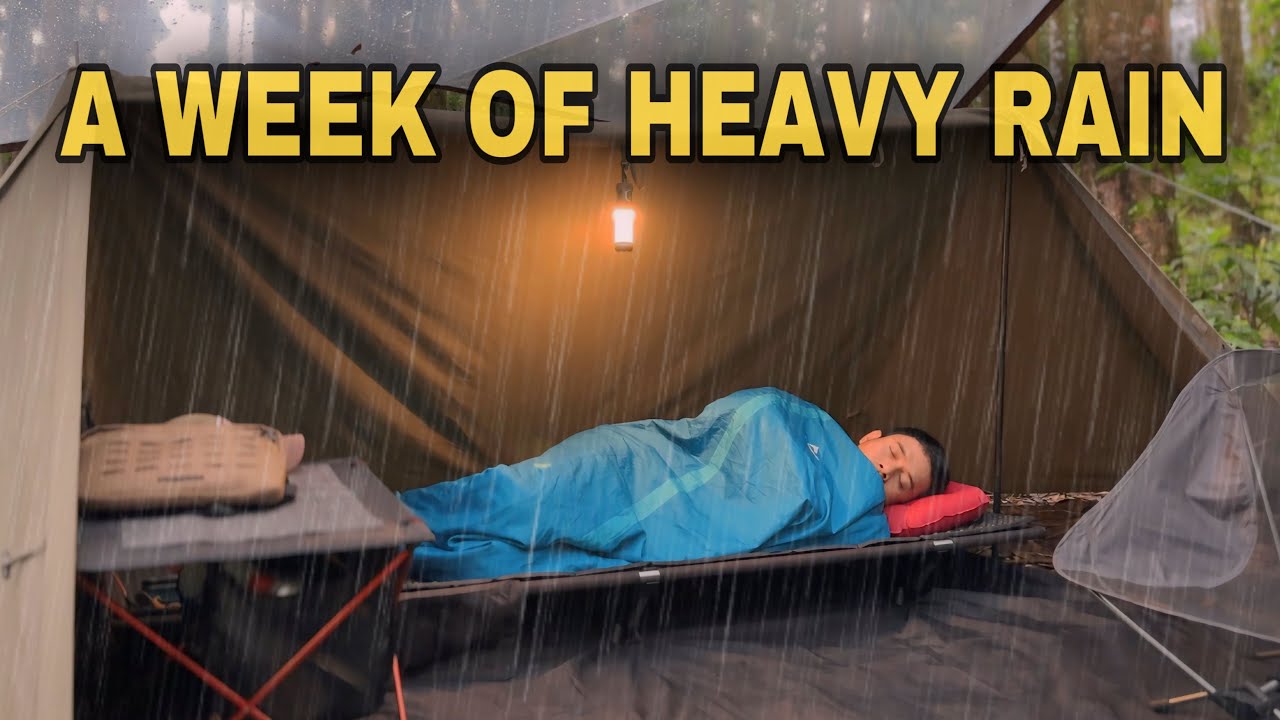 A Week of Camping Heavy Rain‼️Solo Camping in Long Heavy Rain in a Week‼️