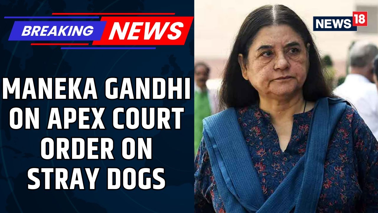 Maneka Gandhi Critiques Supreme Court's Dog Relocation Order Amid Rising Bite Cases | News18