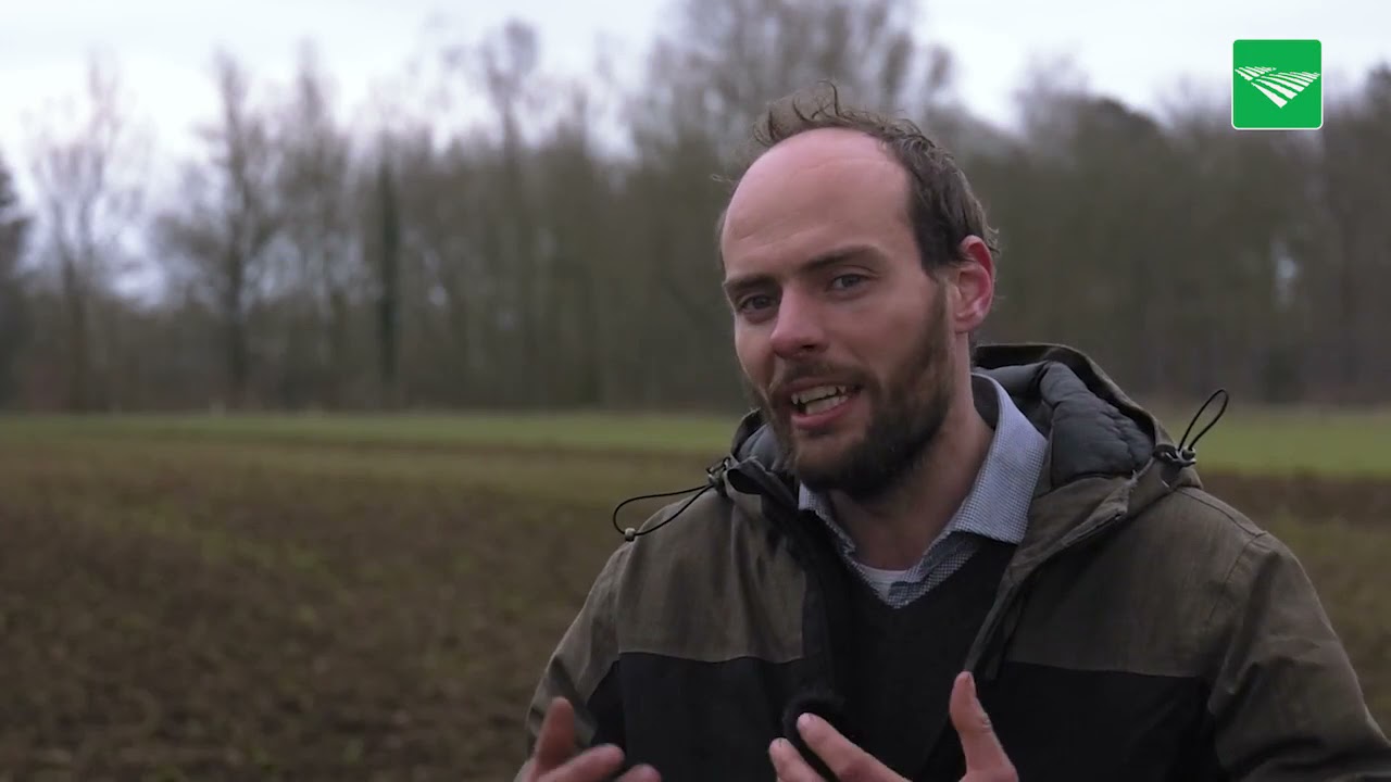 Groenbemester inwerken zonder glyfosaat