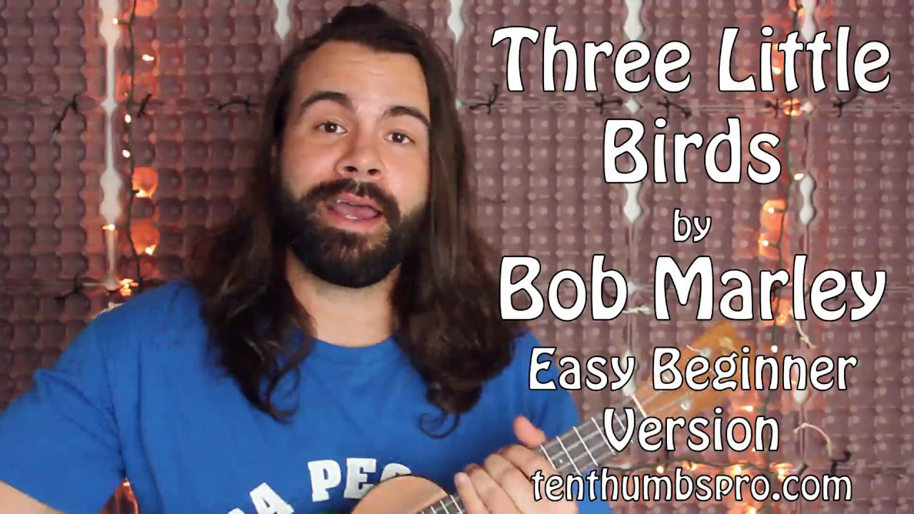 Easy Three Little Birds Ukulele Tutorial - Great Beginner First Song