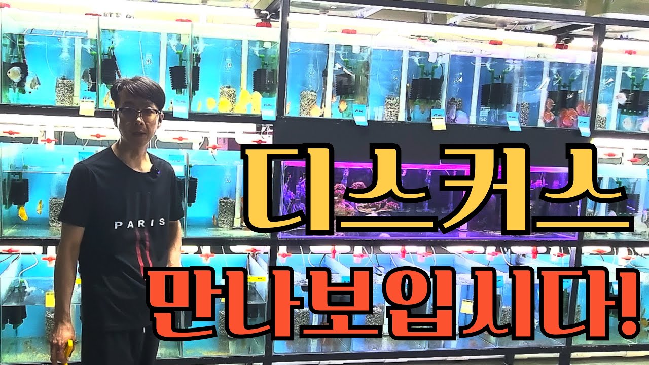 이번에 입고된 디스커스들 큰일났습니다..이뻐서