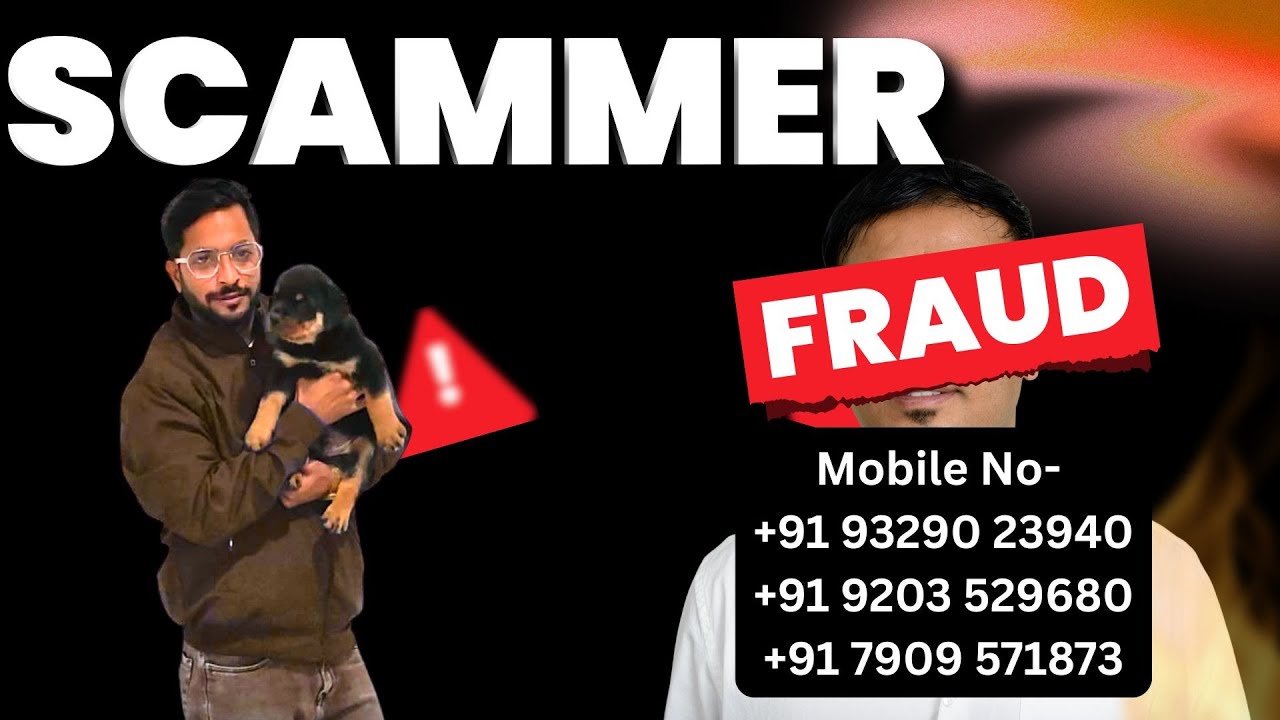 Don’t Buy Any Dog Before Watching This! 🔥 | Puppy Seller Scammer Exposed