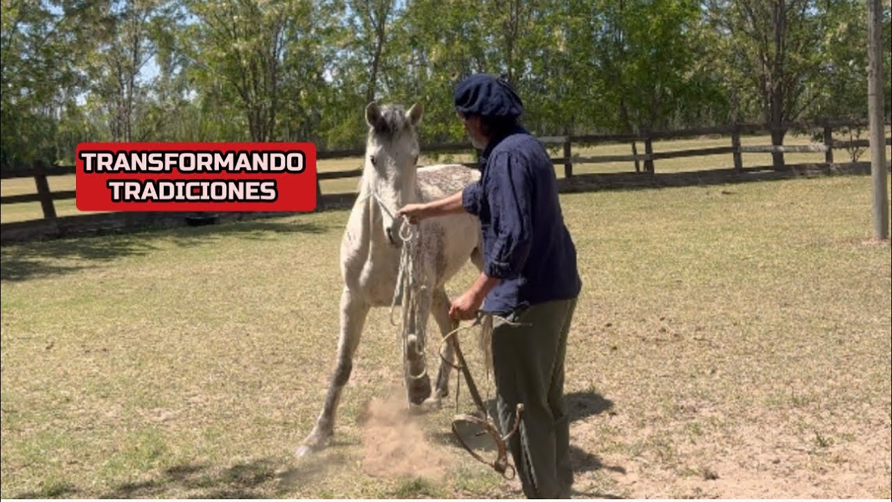 EL PODER DEL RESPETO EN LA RELACIÓN CON EL CABALLO Y EN LA VIDA !!