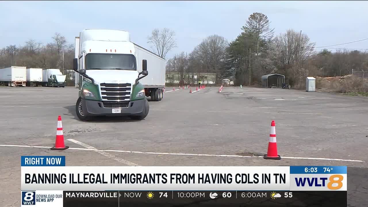 New bill targets CDL licenses for undocumented immigrants