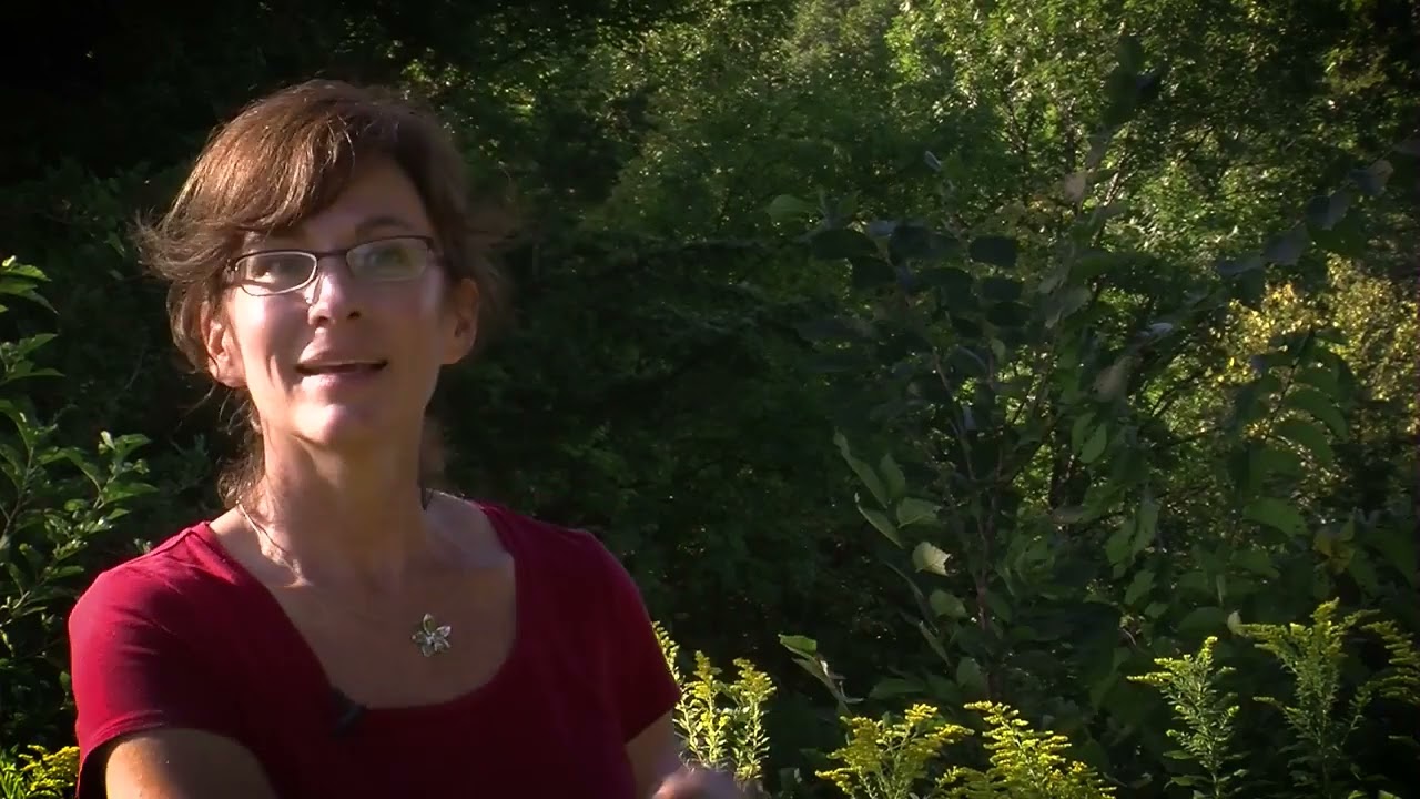Minnesota Legacy Funds: Making a Difference in Regional Parks