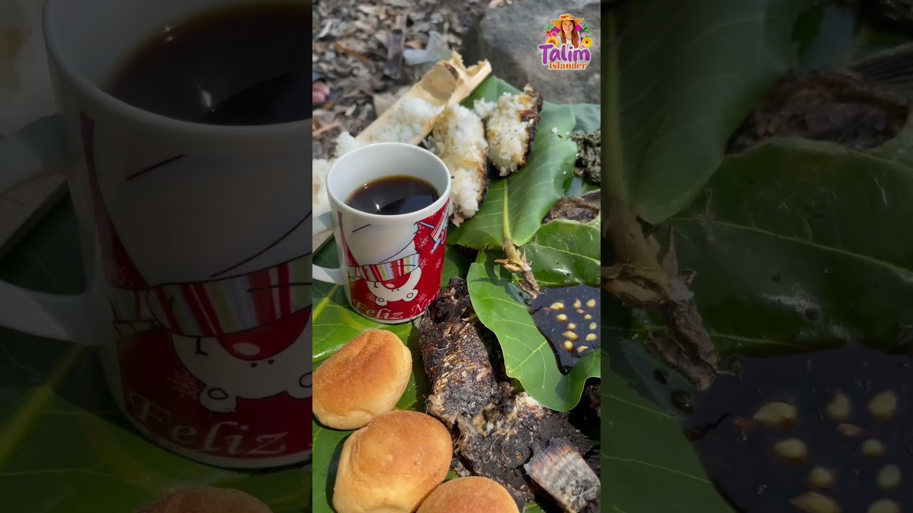 Simple Life in Talim Island 