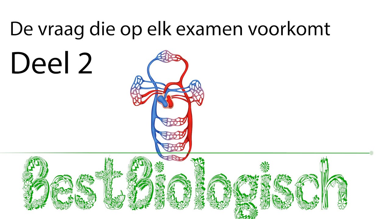 De vraag die op elk biologie examen voorkomt - Deel 2.1