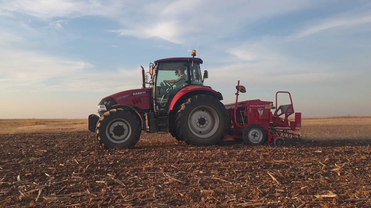 Wheat sowing  with Case IH Farmall 115 and Mascar Arizona 300 ( Setva pšenice )