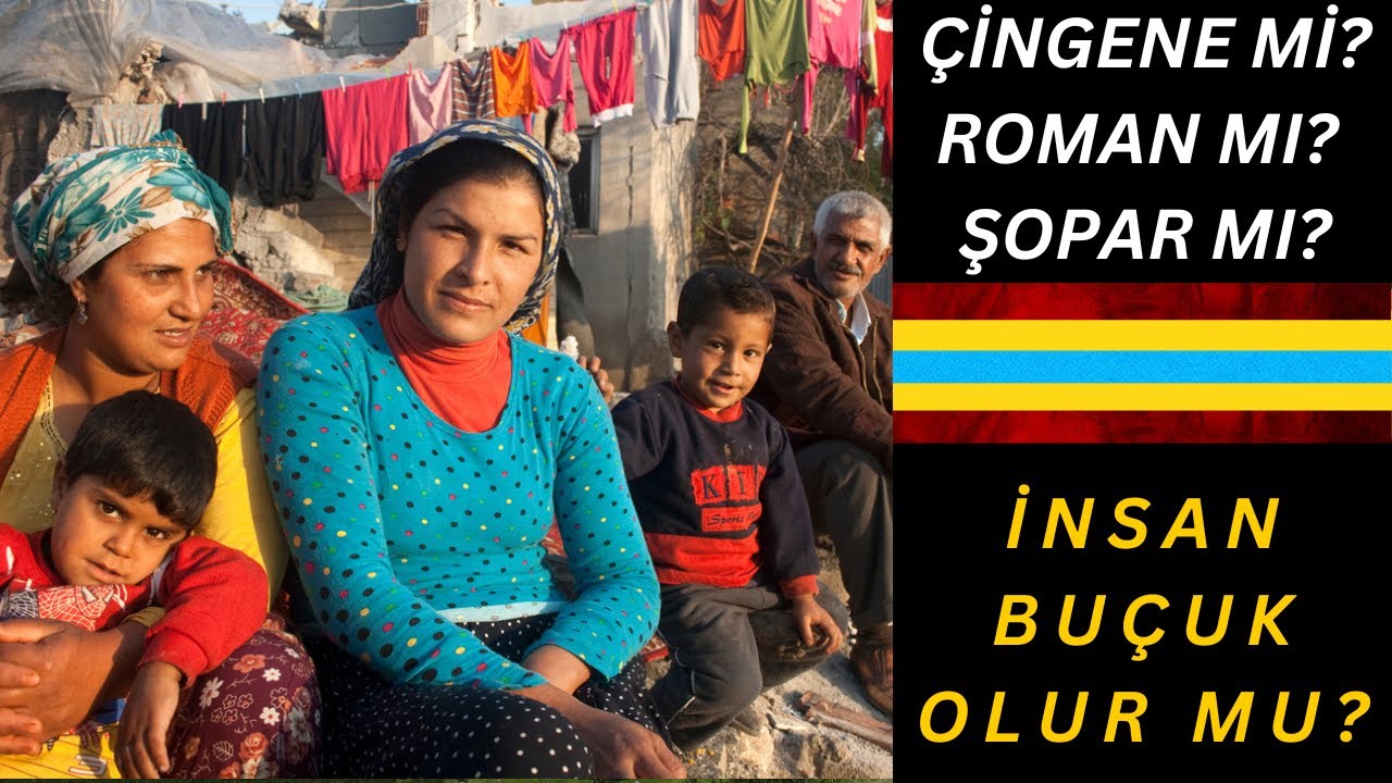 İNSAN BUÇUK OLUR MU ? - ÇİNGENE Mİ ROMAN MI ŞOPAR MI? - KİRPİ AVI - NEŞESİYLE SİSTEME KAFA TUTANLAR