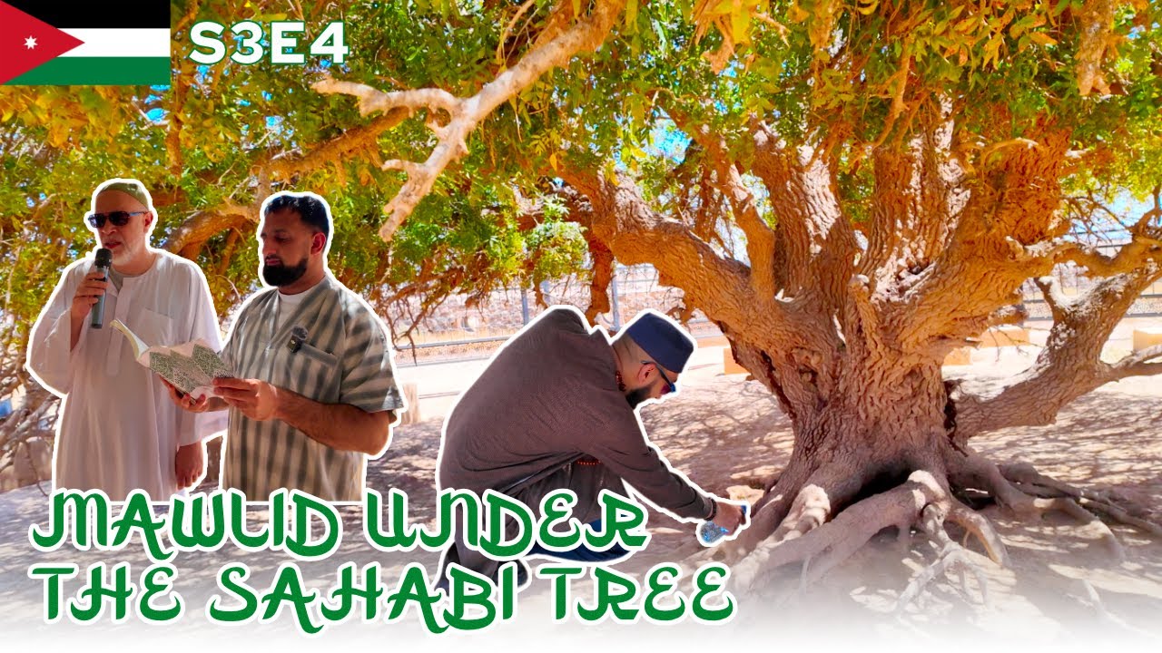 Mawlid Under the Sahabi Tree (The Blessed Tree) 🇯🇴