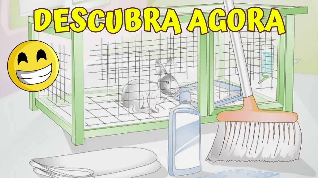 Como Limpar uma Gaiola de Coelho - Aprenda como limpar a sujeira do coelho