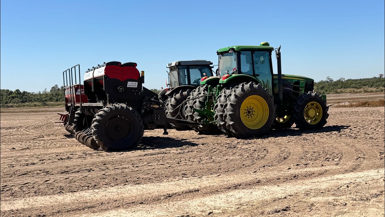 Plantio de arroz em Querência do Norte PR 