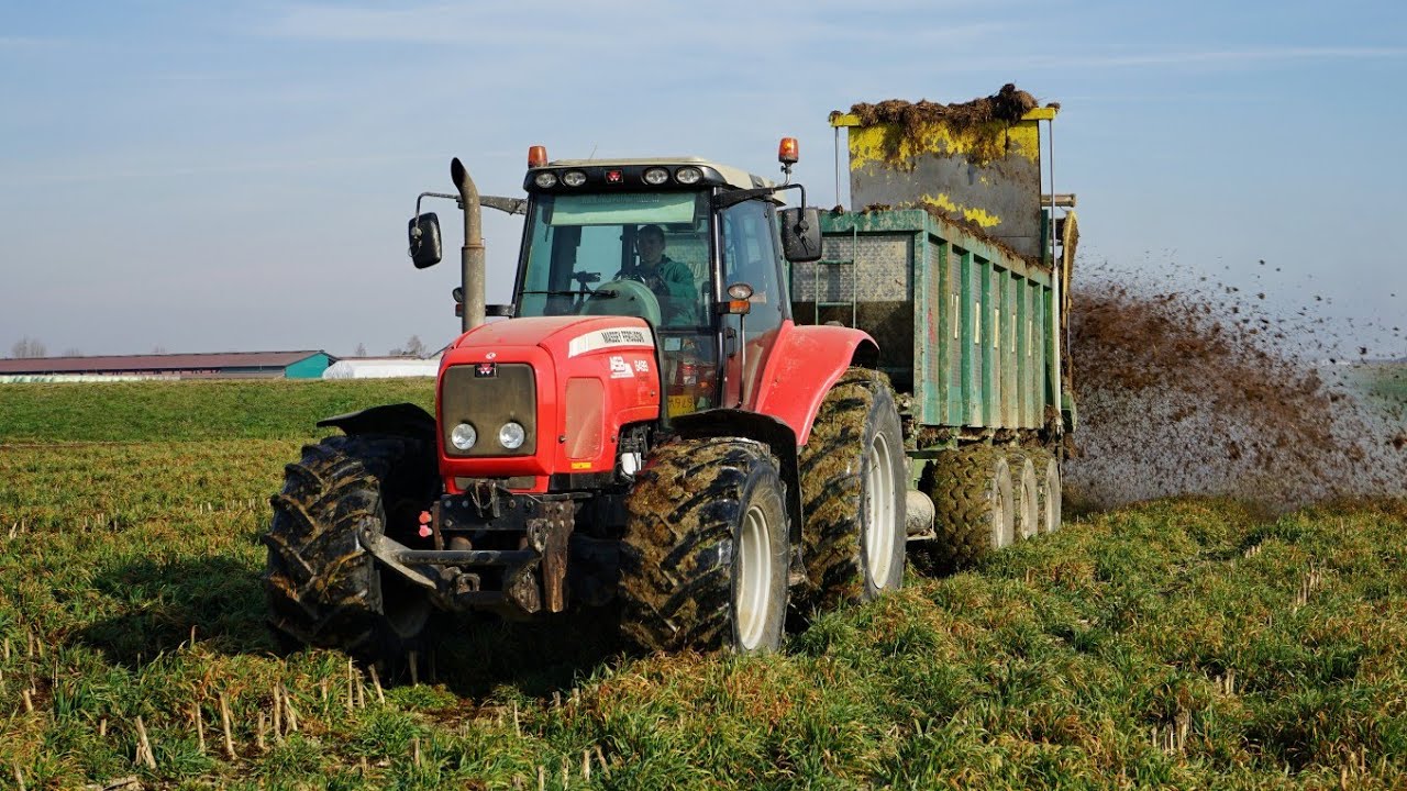 SPARGIMENTO LETAME Massey Ferguson 6499 OPEN PIPE + Fiorentini 3 assi/Manitou 940- Manure spreading