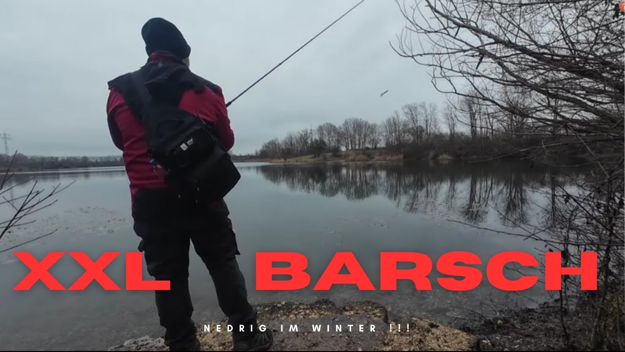 XXL BARSCH mein neuer PB !! Ned Rig im Winter ?