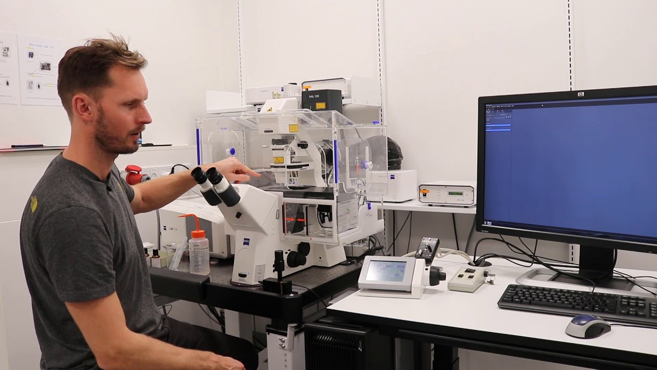 Bioimaging - Laser Scanning Confocal Microscope (LSM710)