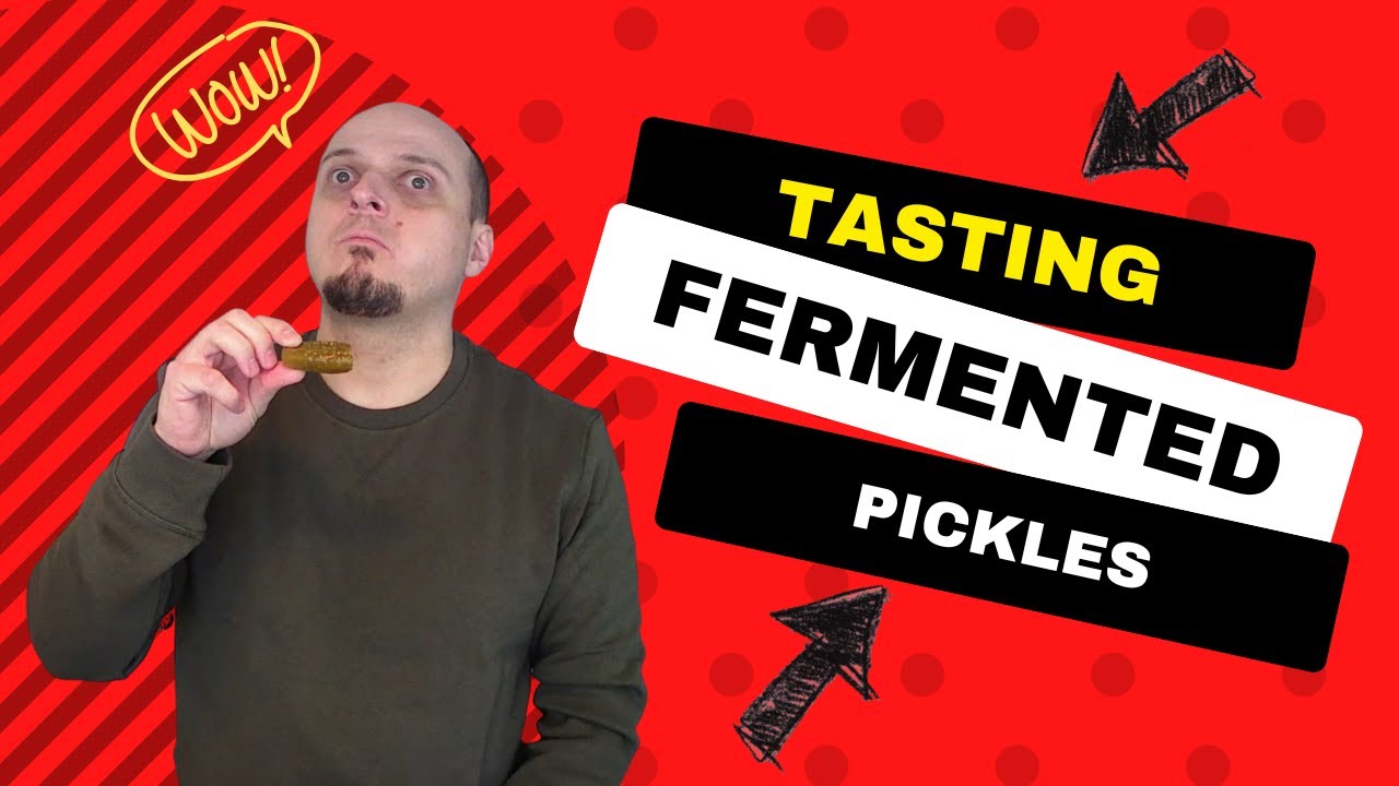 Fermented Pickles - Delicious or Nasty?