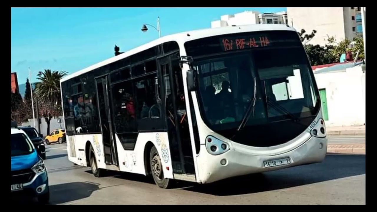 vitalis tétouan ( city bus )