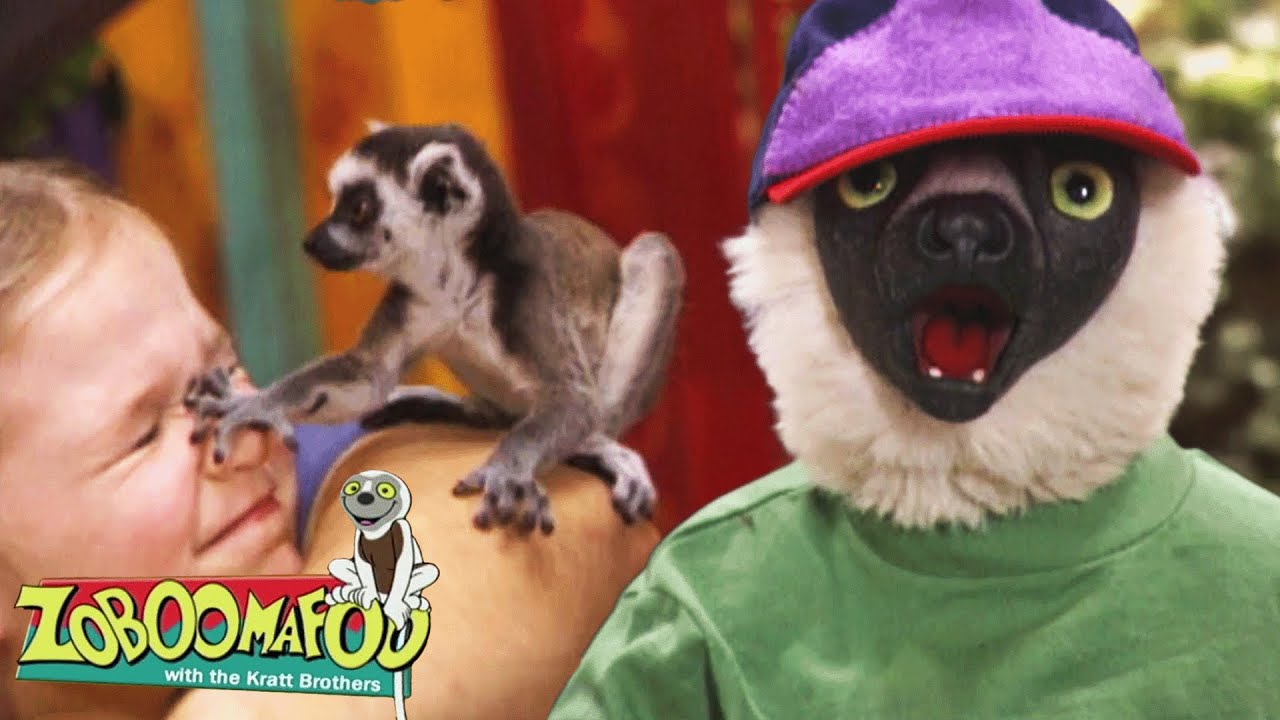Humans | Zoboomafoo - WildBrain | Movies for Kids
