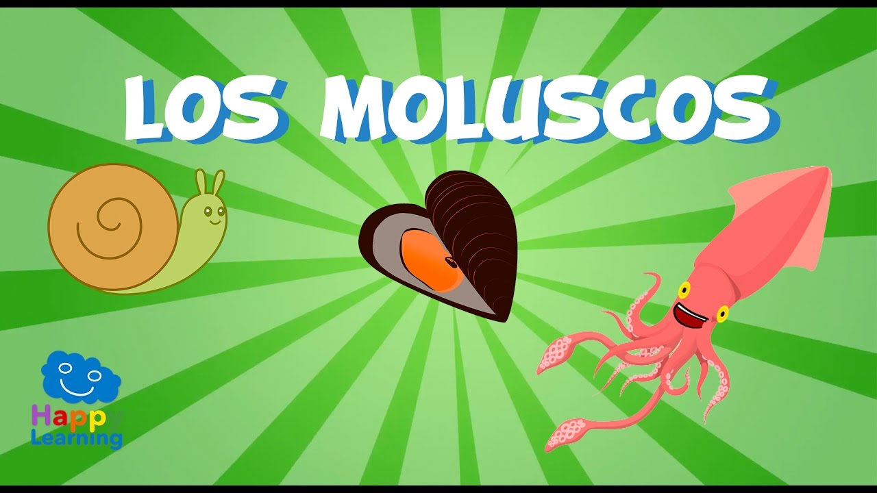 Los Moluscos | Videos Educativos para Ni&ntilde;os