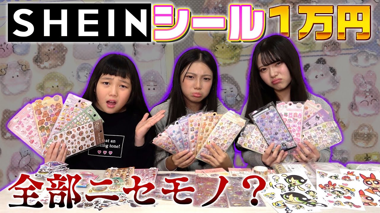 SHEINでシール1万円分購入してみたら…ニセモノでした…