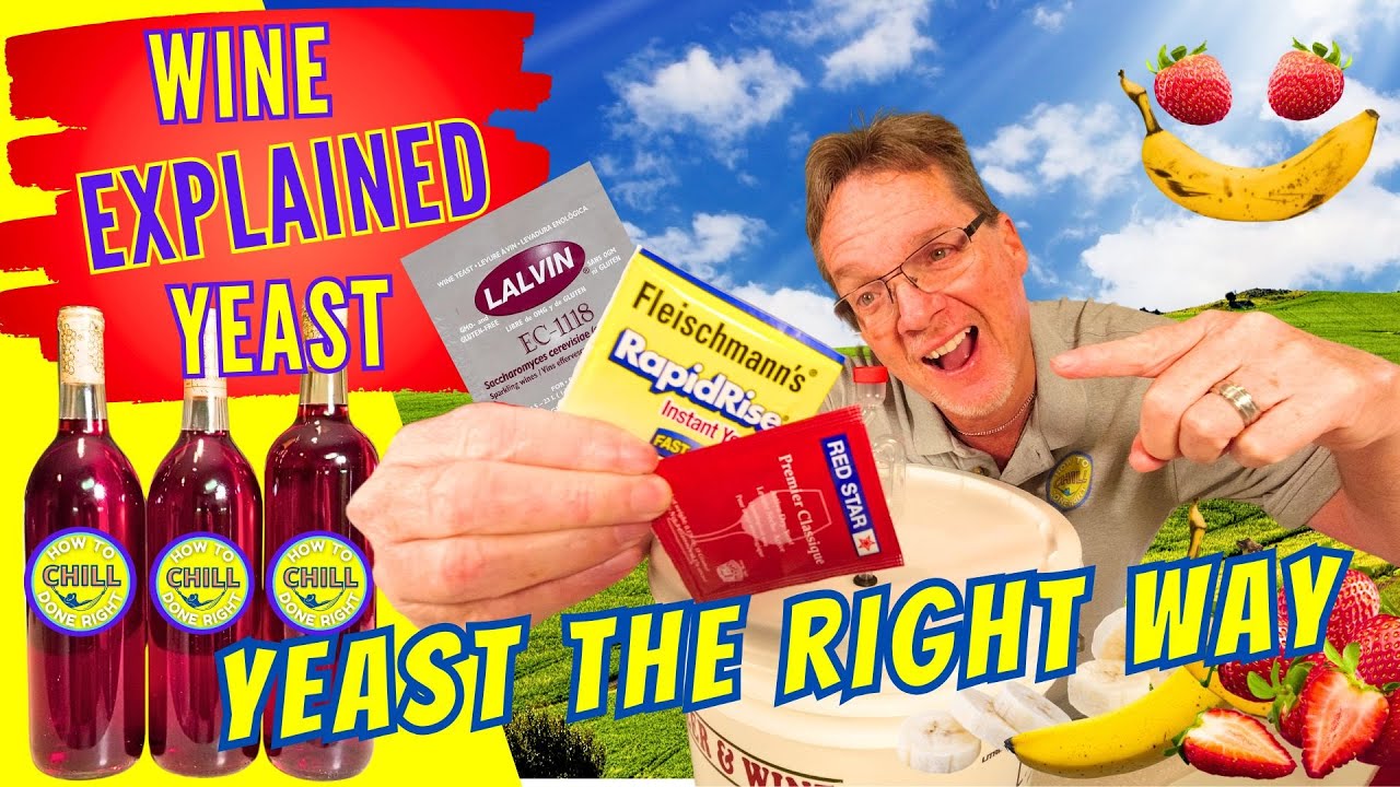 Master Wine Yeast Like a Pro - Essential Guide to Healthy Yeast in Wine Making