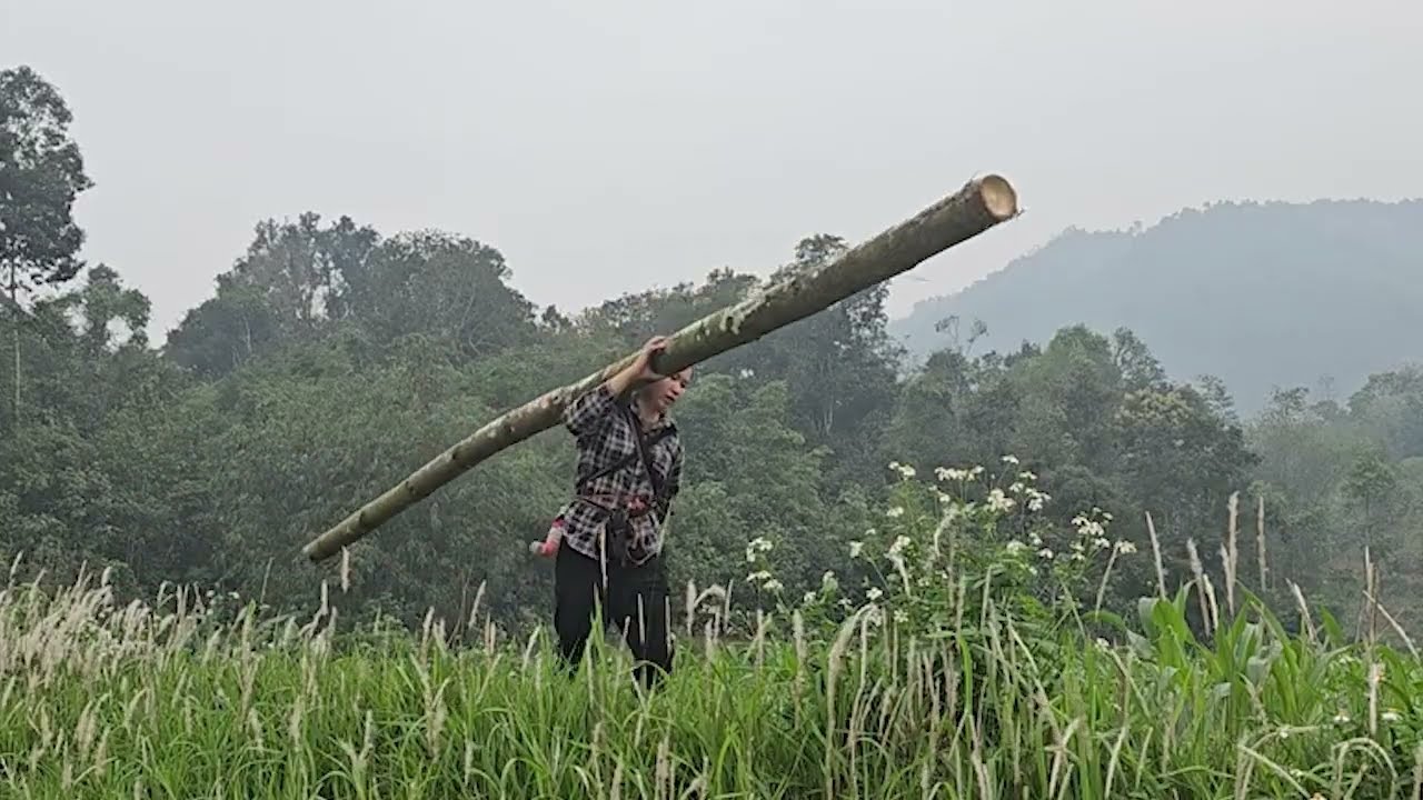 18-Year-Old Single Mother | Strange Woman Lost in the Forest & Dangerous Forest Fruits