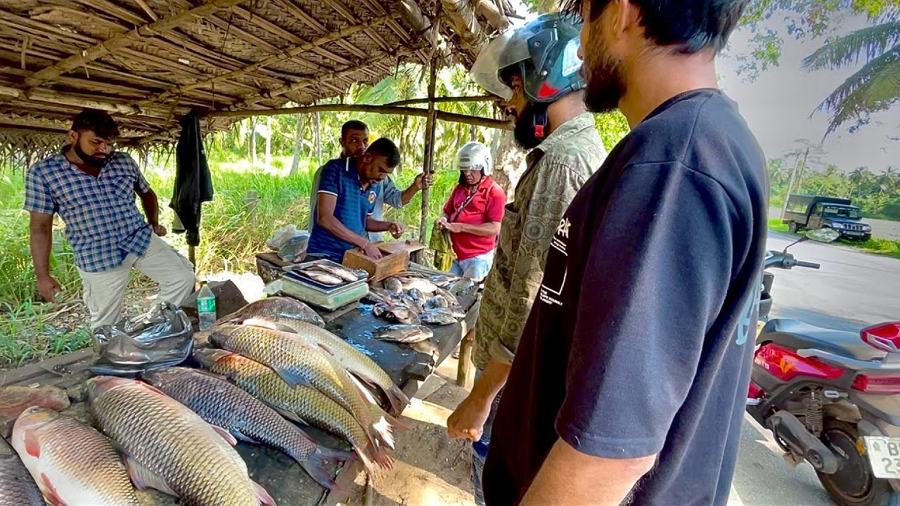 Hardest Job! Behind The Scenes Of The Most Worth Rural Fish Trade You’ve Ever Seen
