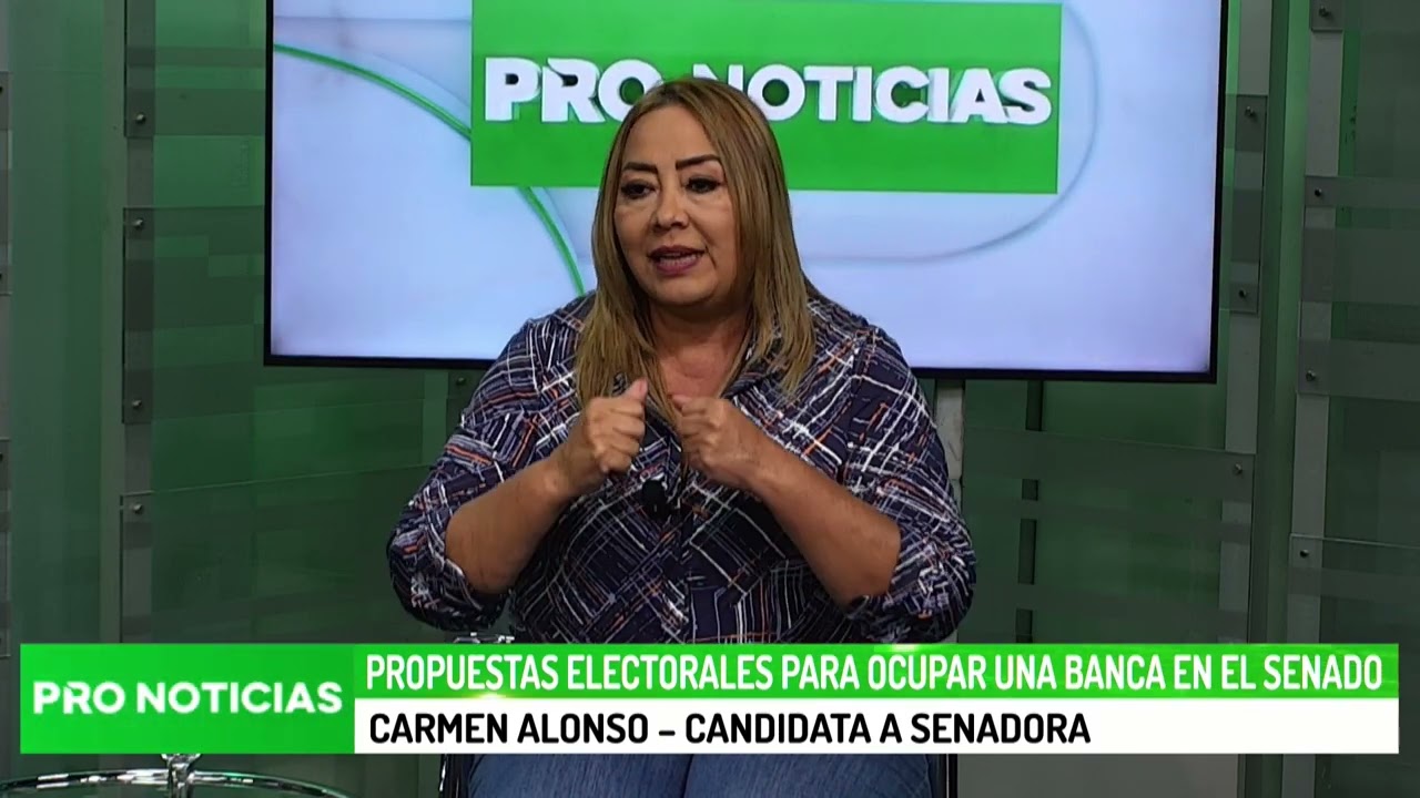 Propuestas electorales para ocupar una banca en el Senado