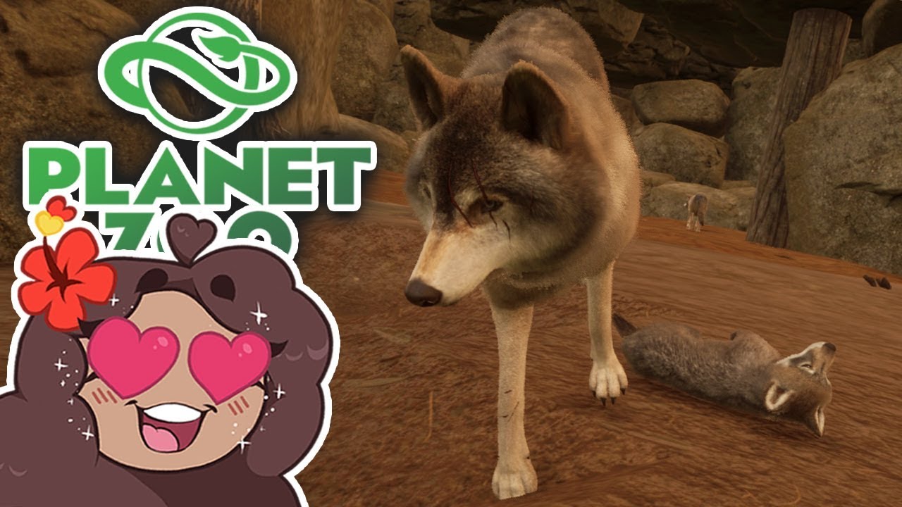 Wolf Mountain's Rise to Legend!! 🐼 Daily Planet Zoo! • Day 40