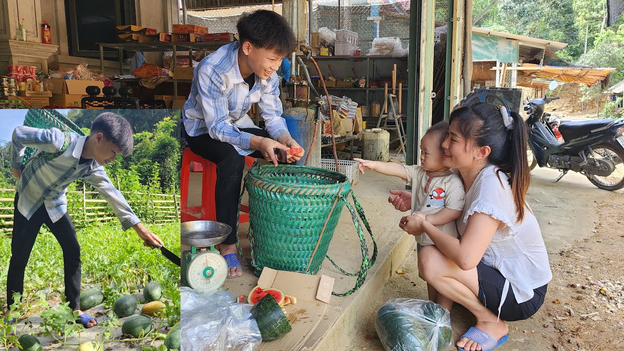 Harvesting Watermelon to Sell at the Market - Orphan Boy Who Loves Children