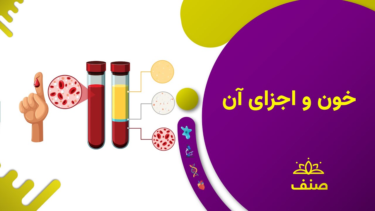 صنف - بیولوژی صنف نهم - درس ۸: خون و اجزای آن