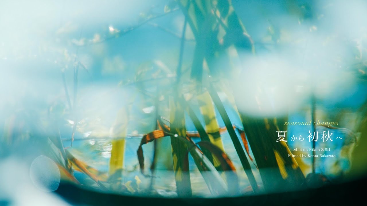 夏から秋の入り口にかけて、日常の風景を切り取った | shot on nikon Z6II