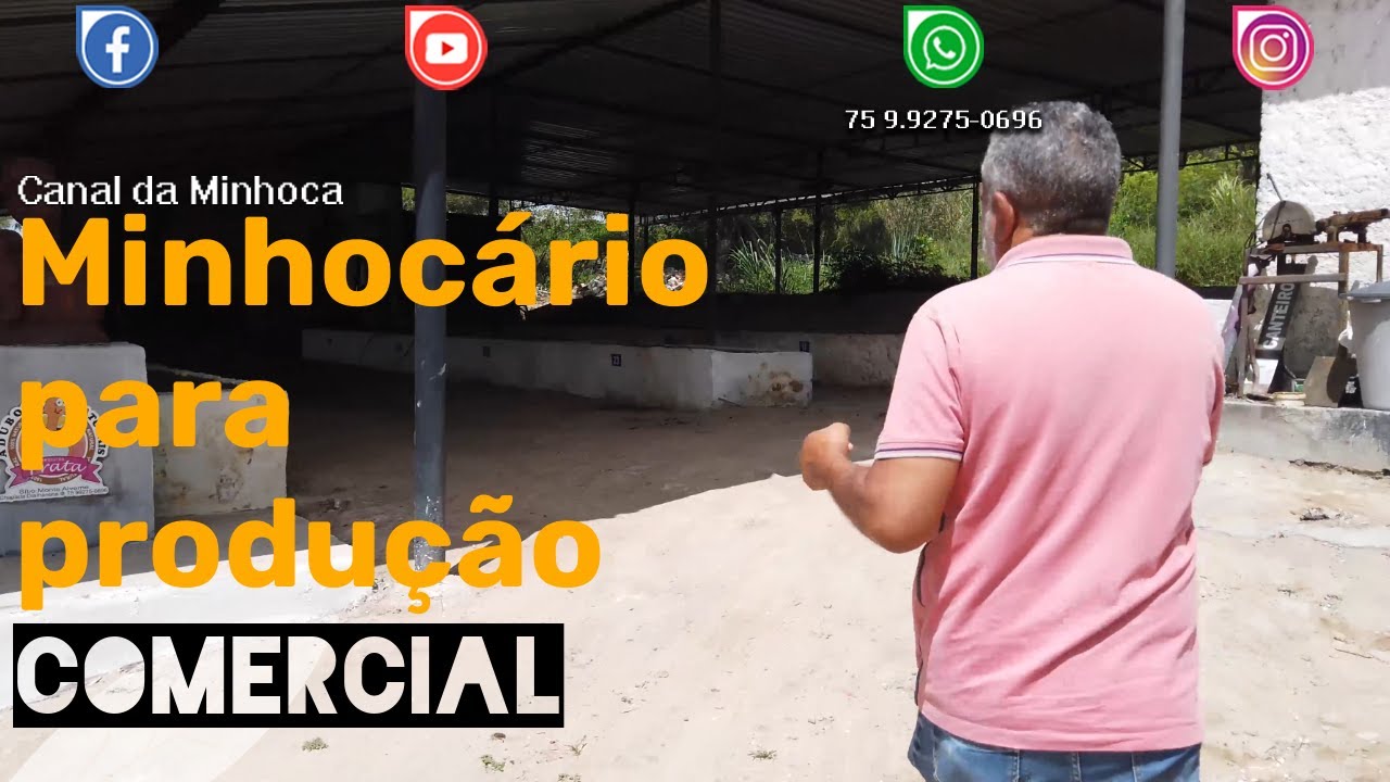 Minhocário para produção comercial