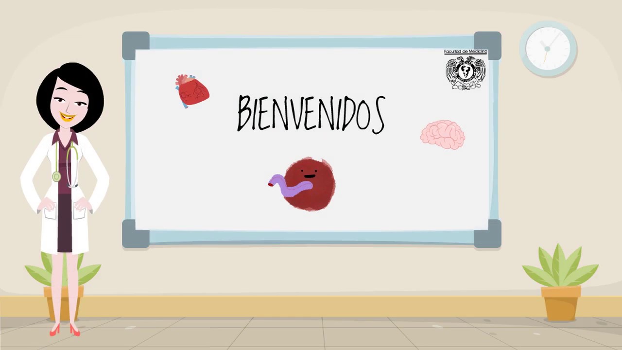 Placenta