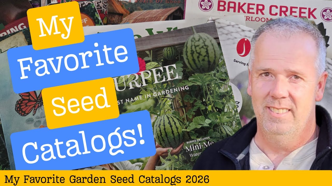 My Favorite Garden Seed Catalogs 2026
