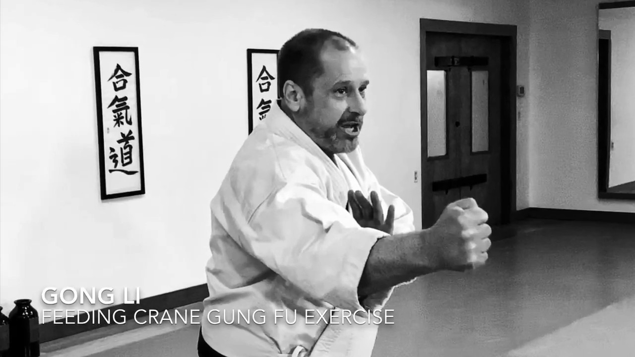 Gong Li - Feeding Crane Gung Fu Exercise