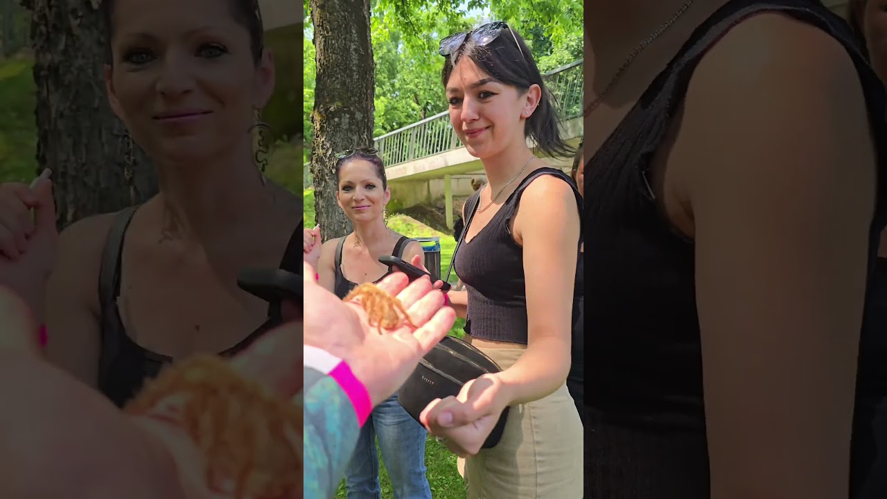 P&oacute;k-meglepi 🤣🤣🤣 #turazoo