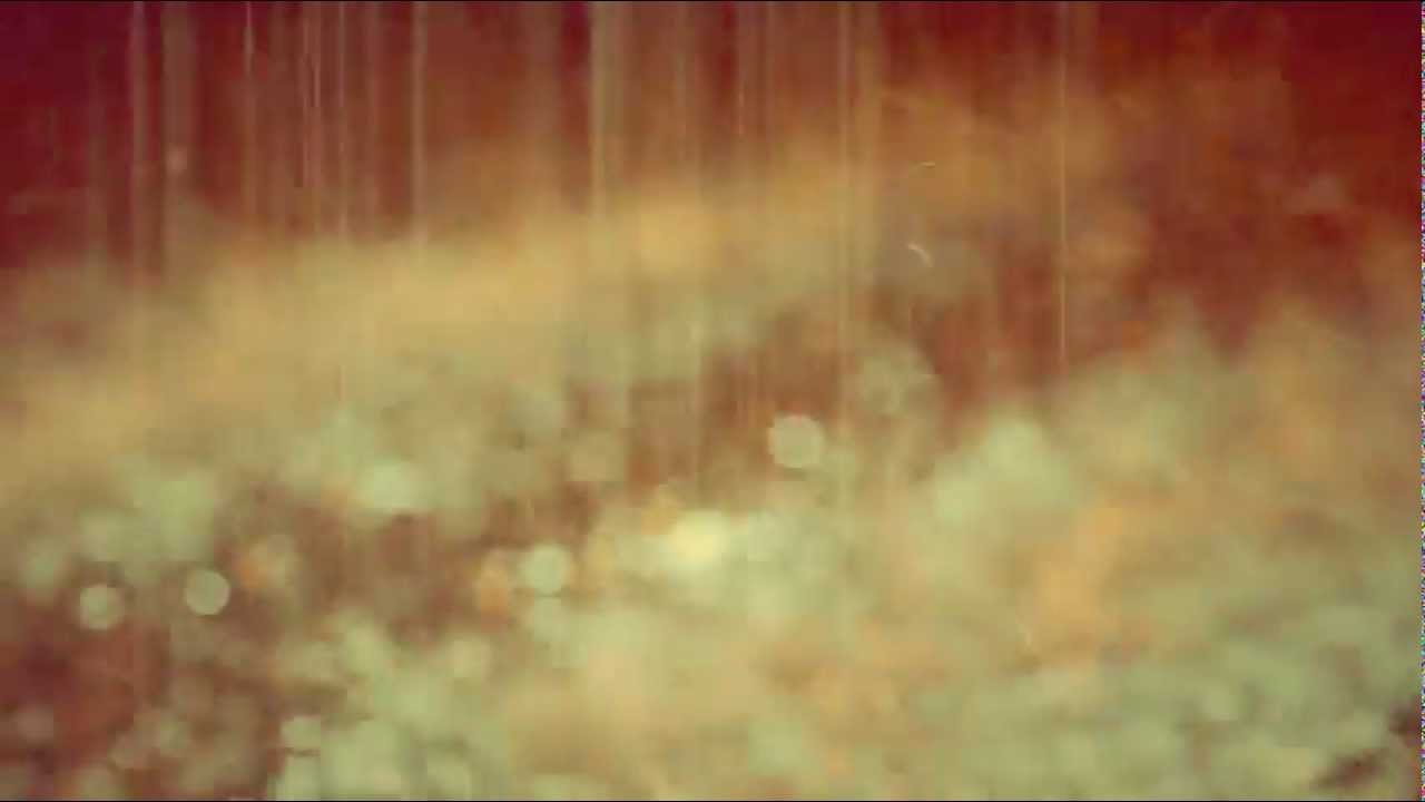 SH'U raincoat 2013