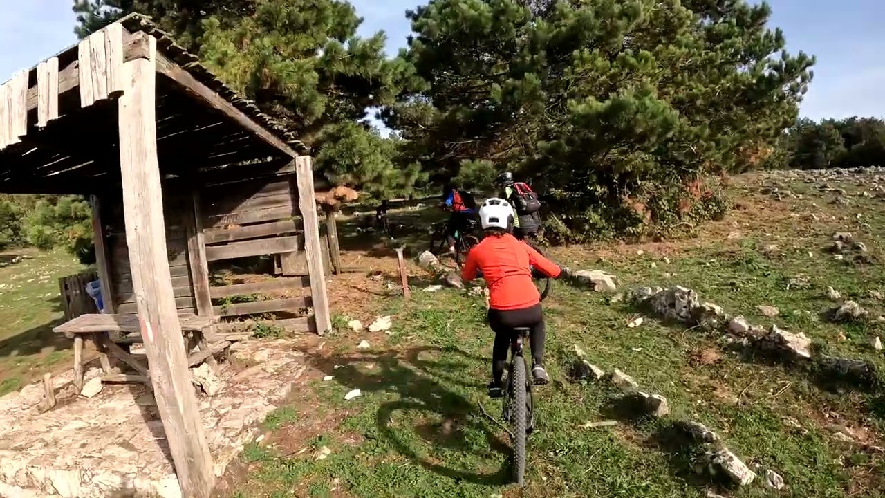 Bosco di San Marco in Lamis