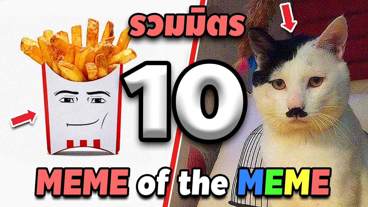 รวมมิตร ภาพนี้ก็ฮาเหมือนกันนะเนี้ย #10 SS2 [ พากย์นรก MEME.EXE ] | easy boy