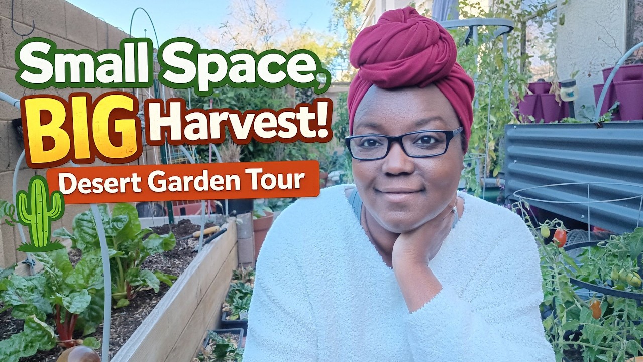 Small Space, BIG Harvest! - Desert Garden Tour