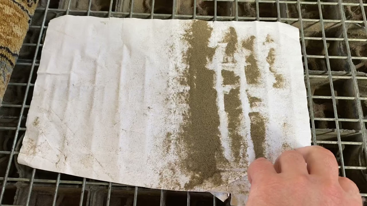 Rug Dusting