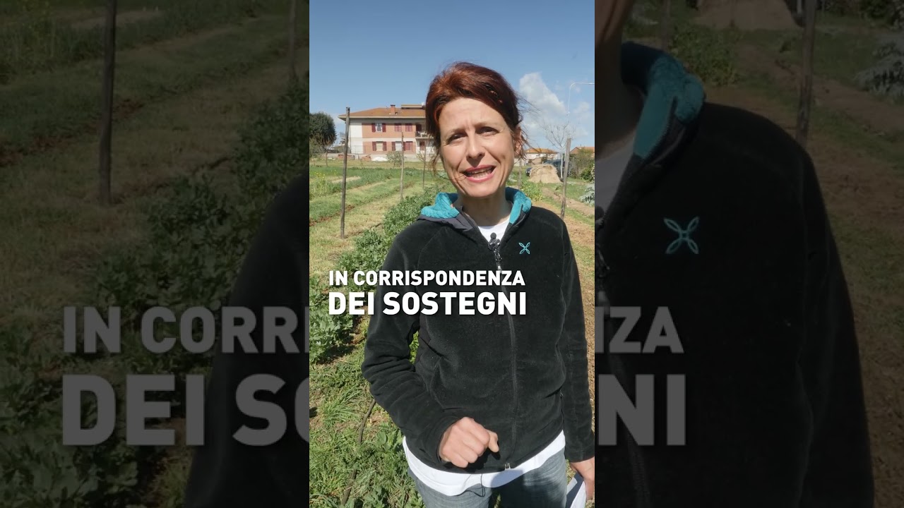 5 semine da fare ad aprile!