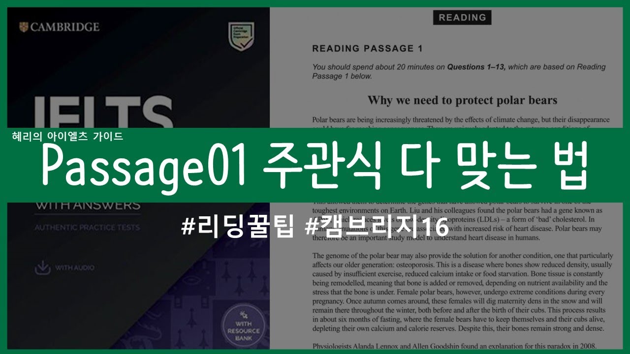 아이엘츠리딩 Passage01 만점받는 법 | 리딩공부법 | Cambridge16 | Study with me