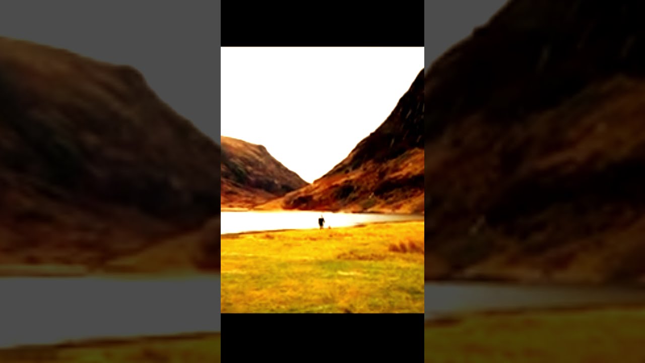 Video Project 4