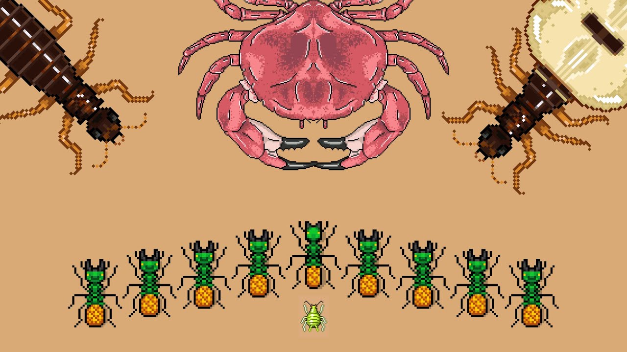 12ANANAS21 vs. CO-OPS